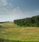 Meadow valley