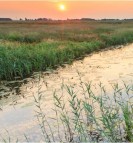 Climate buffers tour netherlands