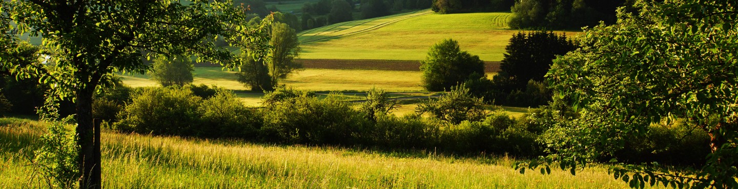 agricultural landscape