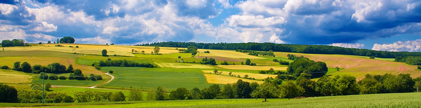 agricultural landscape