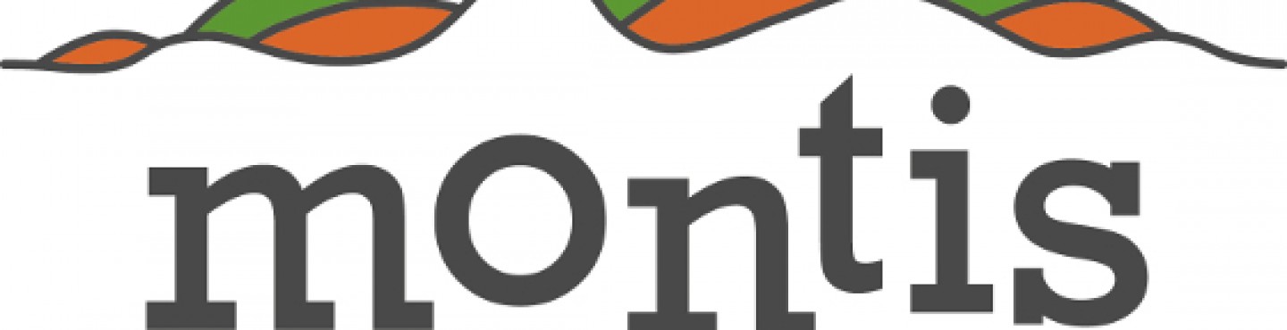 Montis logo