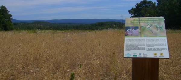 Biodiversity signpost