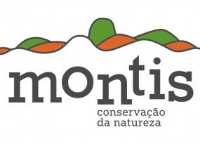 Montis logo