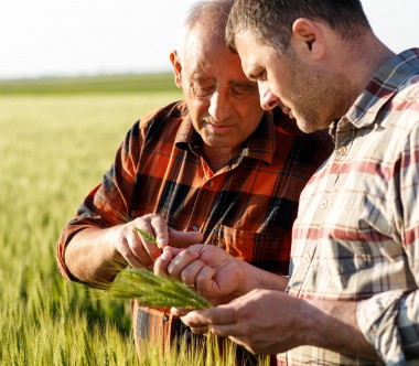 Farmers