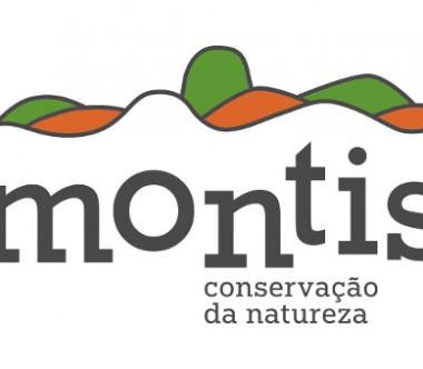 Montis logo